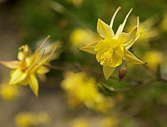 《红霞岛》开发者解释游戏动态难度调节系统